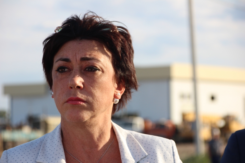 Губернатору Радаеву показали будущую объездную дорогу Энгельса