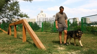 В Саратове построят площадки для выгула собак