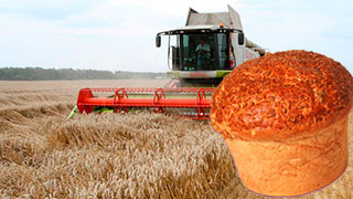 Министр сельского хозяйства надеется собрать «саратовский калач» в 2,5 млн тонн
