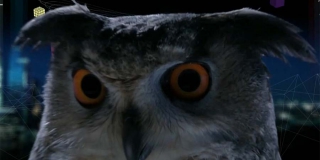 Инженер из Саратова задал лучший вопрос «Что? Где? Когда?» Инженер из Саратова задал лучший вопрос «Что? Где? Когда?»