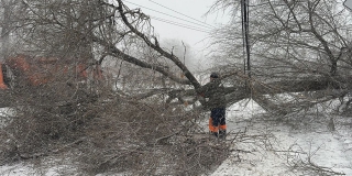Непогода в Саратовской области. Перекрыты трассы, упали деревья, сорваны крыши Непогода в Саратовской области. Перекрыты трассы, упали деревья, сорваны крыши