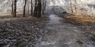Жителей Саратова ожидают оттепель, гололед и туман Жителей Саратова ожидают оттепель, гололед и туман