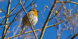 Выходные порадуют саратовцев весенней погодой с температурой до +11 градусов Выходные порадуют саратовцев весенней погодой с температурой до +11 градусов