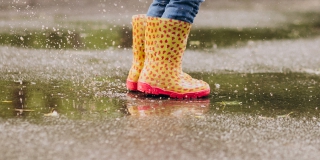 В Саратовской области неделя пройдет с дождями, грозами и температурой до +21 В Саратовской области неделя пройдет с дождями, грозами и температурой до +21