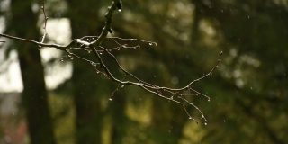 Выходные саратовцы проведут с дождливой погодой и температурой до +18 Выходные саратовцы проведут с дождливой погодой и температурой до +18