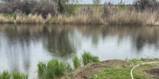 Женщина убрала незаконный забор в Балакове лишь после запрета выезда за рубеж Женщина убрала незаконный забор в Балакове лишь после запрета выезда за рубеж