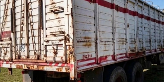 В Новоузенском районе обнаружили грузовик с 200 нелегальными козами и баранами В Новоузенском районе обнаружили грузовик с 200 нелегальными козами и баранами