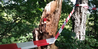 На Кумысной поляне нашли тело пропавшего в марте 78-летнего Виктора Пипунырова На Кумысной поляне нашли тело пропавшего в марте 78-летнего Виктора Пипунырова