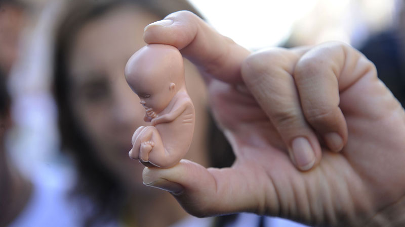 Главврач саратовской больницы выступил против запретов на аборты