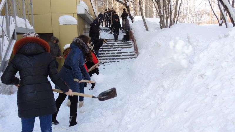 В соцсетях сообщили о привлечении саратовских учителей к уборке снега. Комментарий мэрии