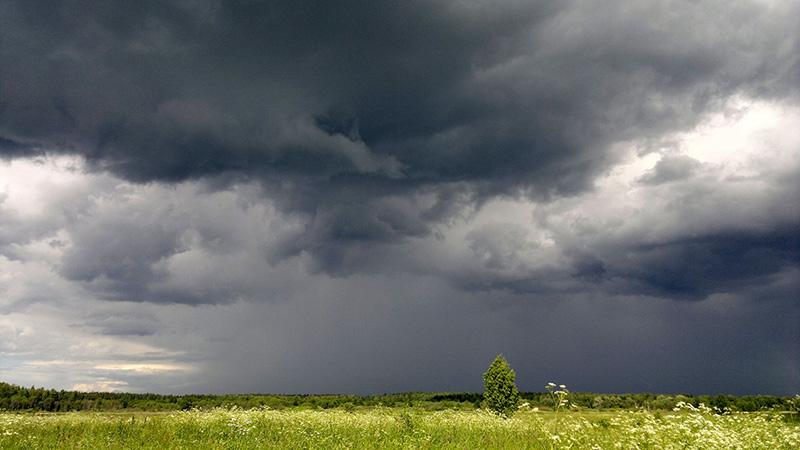 В Саратовской области ожидаются серьезное похолодание и дожди
