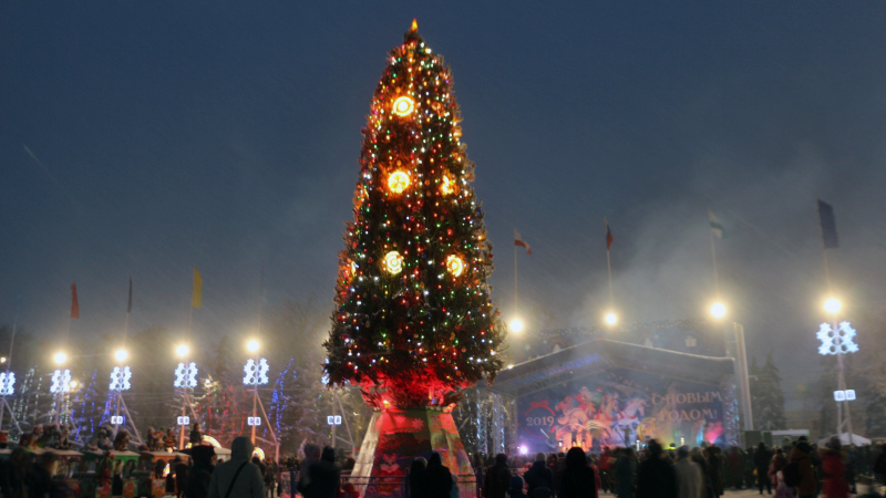 В Саратове открылась главная елка и резиденция Деда Мороза
