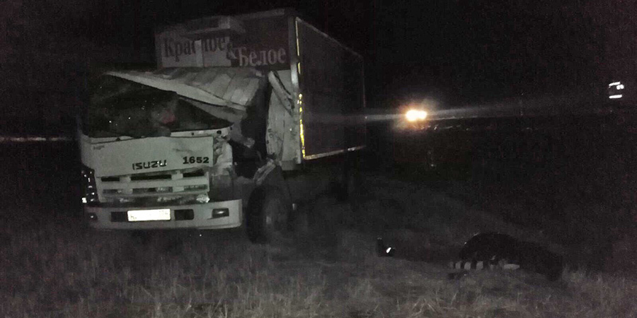 Под Энгельсом водитель грузовика «Красное и Белое» погиб в массовом ДТП