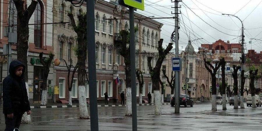 Общественник Волков связал убыль населения в Саратове с вырубкой деревьев