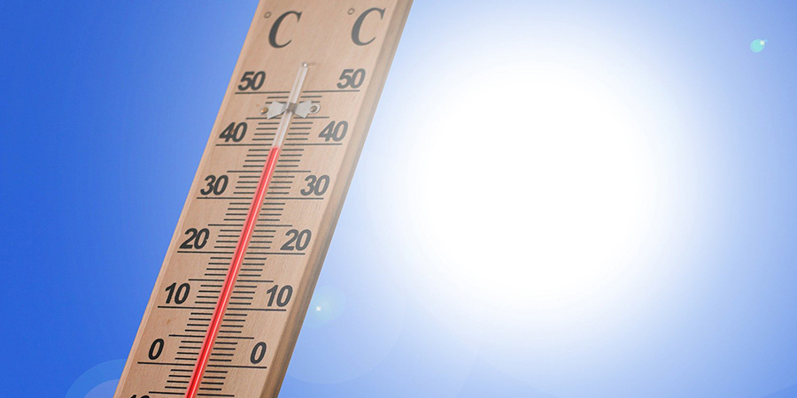 В Саратовской области температура воздуха поднимется до +40 градусов
