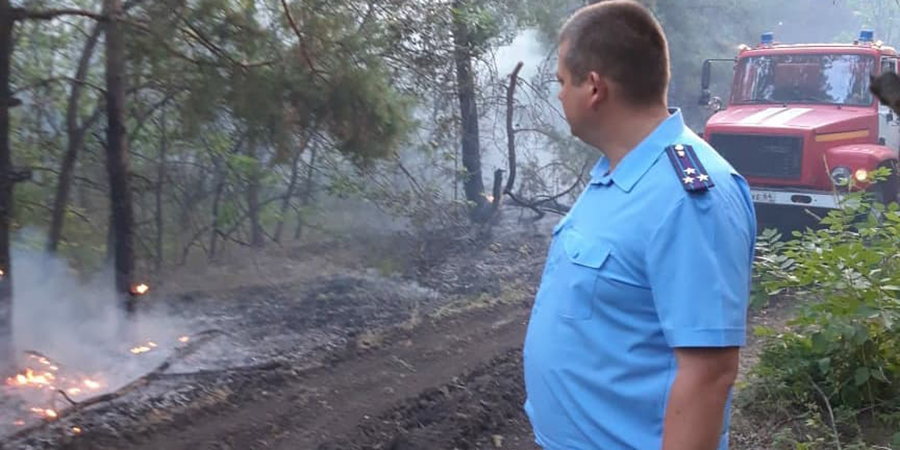 В Красноармейском районе горит лес на площади 60 гектаров