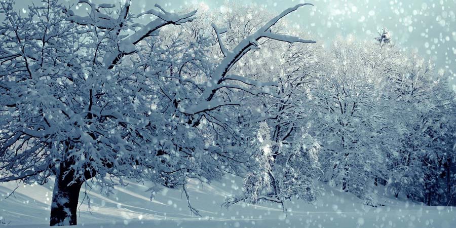 Завтра в Саратовской области ожидается сильный снег, туман и гололедица