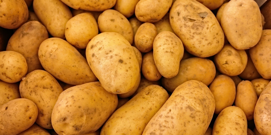 Из Саратовской области не пустили в Казахстан 40 тонн нелегального картофеля