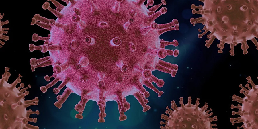 За сутки в Саратовской области выявили еще 251 больного коронавирусом