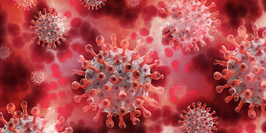 В Саратовской области суточная заболеваемость коронавирусом выросла до 308 человек