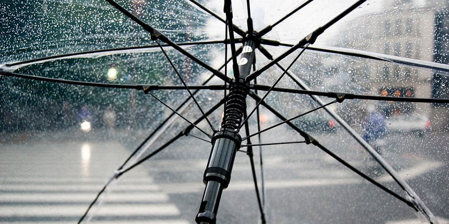 В Саратове ожидается дождливая пятница с ветром до 20 м/с