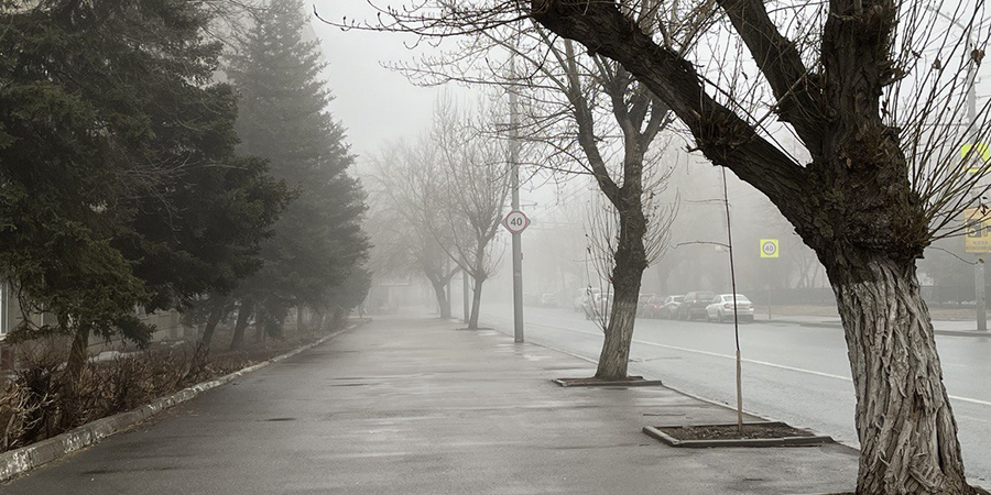 Жителей Саратовской области предупредили об опасности тумана