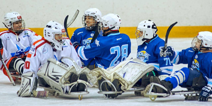 Саратовские команды по хоккею стали лауреатами «Золотого стандарта»