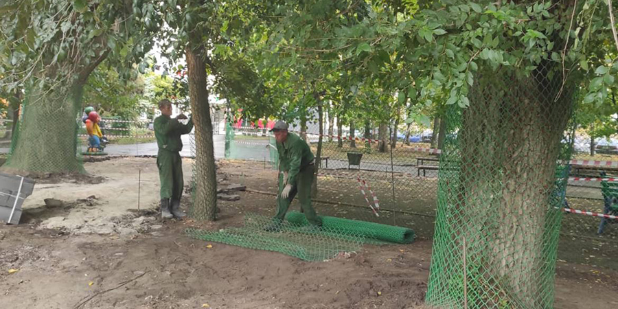 В Липках деревья защитили сетками на время строительства новой детской площадки