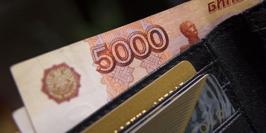 В Саратовской области за год выявили 11 организаций-«черных кредиторов»