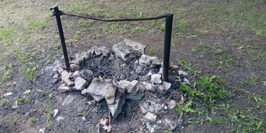 В Саратовской области с начала года сгорело 21,9 га леса