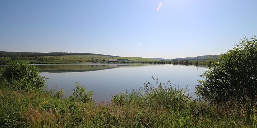 Пяти районам Саратовской области выделили 13 млн на закачку воды в пруды