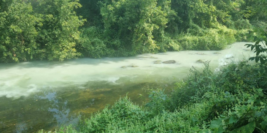 Река в Аткарске загрязнилась из-за аварии на маслозаводе