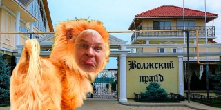 Жалкий Курихин, или Подбитый «черный лебедь» Жалкий Курихин, или Подбитый «черный лебедь»