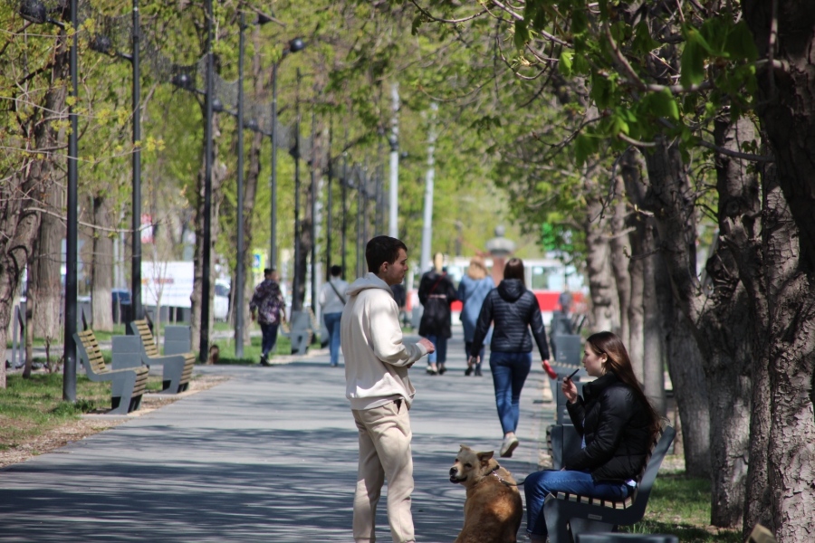 Саратов вымирание.