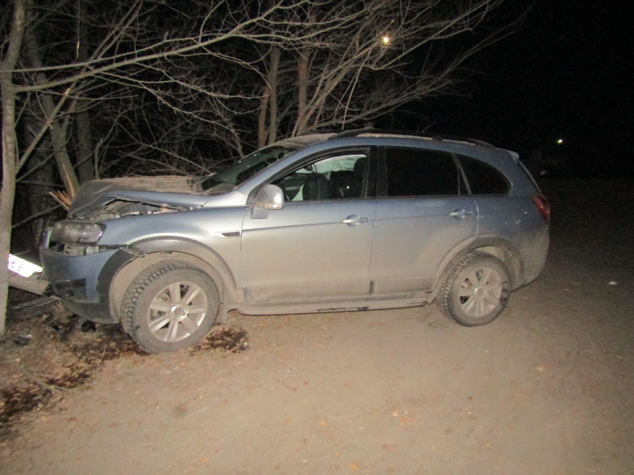 В Балашове парень на кроссовере врезался в дерево. Скончалась пассажирка
