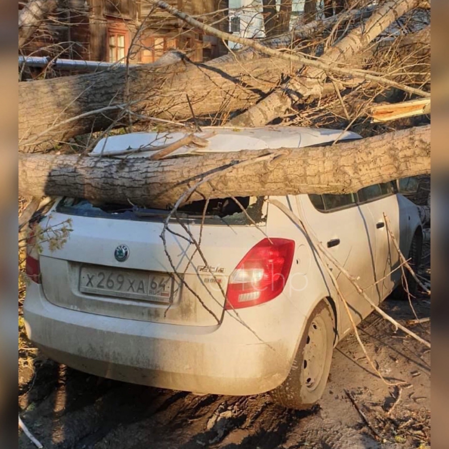 В Заводском районе дерево рухнуло на газопровод и припаркованные машины