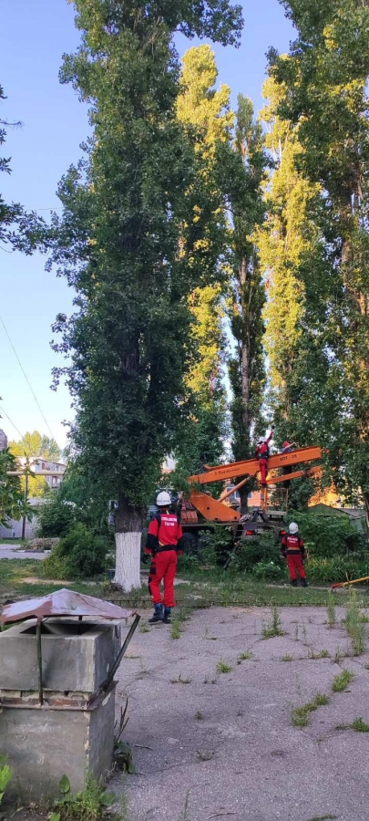 Фото в заводском районе