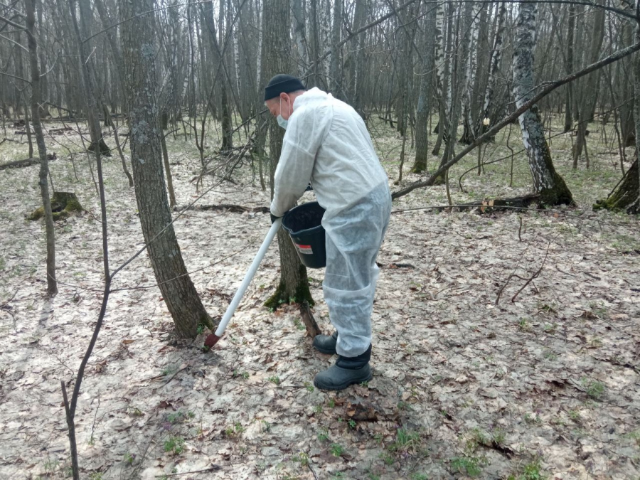 Кумысную поляну обрабатывают от грызунов из-за опасности мышиной лихорадки