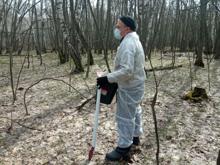 Кумысную поляну обрабатывают от грызунов из-за опасности мышиной лихорадки