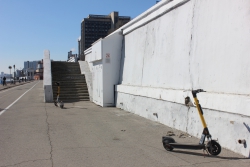 Набережная просыпается: Волга тает, утки гуляют, самокатчики бросают «коней» Набережная просыпается: Волга тает, утки гуляют, самокатчики бросают «коней»