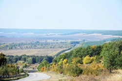 Лох зачарованный Лох зачарованный