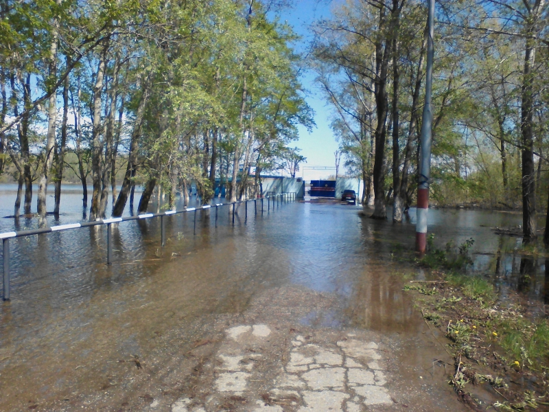 Уровень волги в ярославле