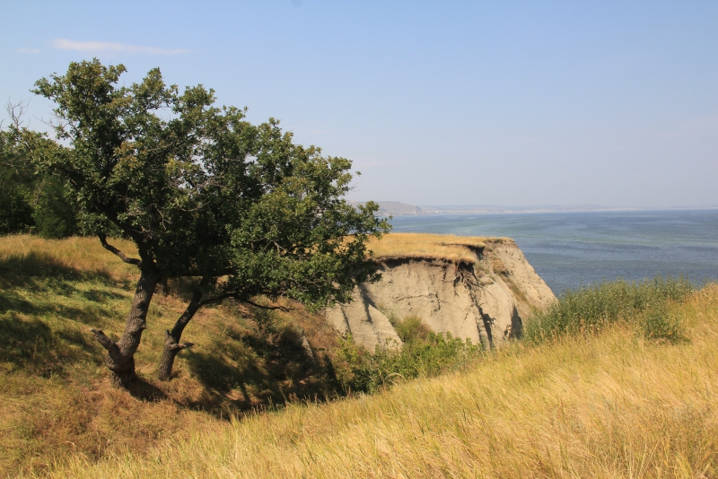 Саратовский р н. Красноармейск Саратовская область природа. Памятники природы Саратова. Красноармейск Саратовская об памятник Степана Разина. Саратовская обл. Красноармейский р-н с. золотое Утес.