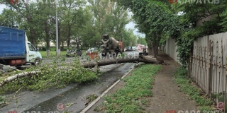 В Саратове и области ликвидируют последствия падения деревьев при шторме В Саратове и области ликвидируют последствия падения деревьев при шторме