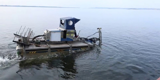 Возле Набережной Космонавтов Волгу очищают от мусора и камышей Возле Набережной Космонавтов Волгу очищают от мусора и камышей