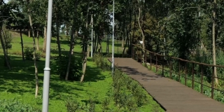 В Парке Победы на Соколовой горе завершено озеленение территории В Парке Победы на Соколовой горе завершено озеленение территории