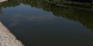 В Саратове отменили контракт на благоустройство парка Семхоз и объявили новый В Саратове отменили контракт на благоустройство парка Семхоз и объявили новый