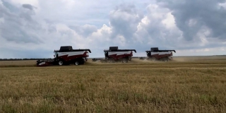 В Саратовской области урожайность зерна выросла более чем на треть В Саратовской области урожайность зерна выросла более чем на треть