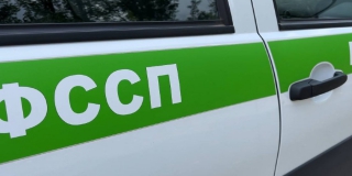 Саратовские приставы выдворили двух нелегалов в Египет и Грузию Саратовские приставы выдворили двух нелегалов в Египет и Грузию