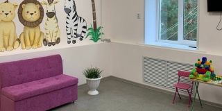 В Лысых Горах детей будут лечить в обновленной больнице с нарисованными зверями В Лысых Горах детей будут лечить в обновленной больнице с нарисованными зверями